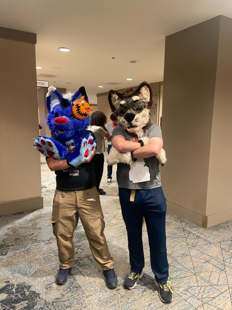 Major 🔜 TFF, FWA tweet media