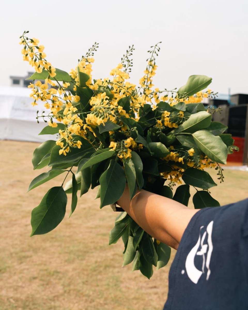 SamaritansPurse's tweet image. Hope Blooms in Myanmar! 🌼💛

The Padauk, Myanmar’s national flower, blooms just once a year and only for a single day. It symbolizes resilience and strength—qualities deeply needed in the wake of the recent earthquake.

This morning, our Emergency Field Hospital staff were…