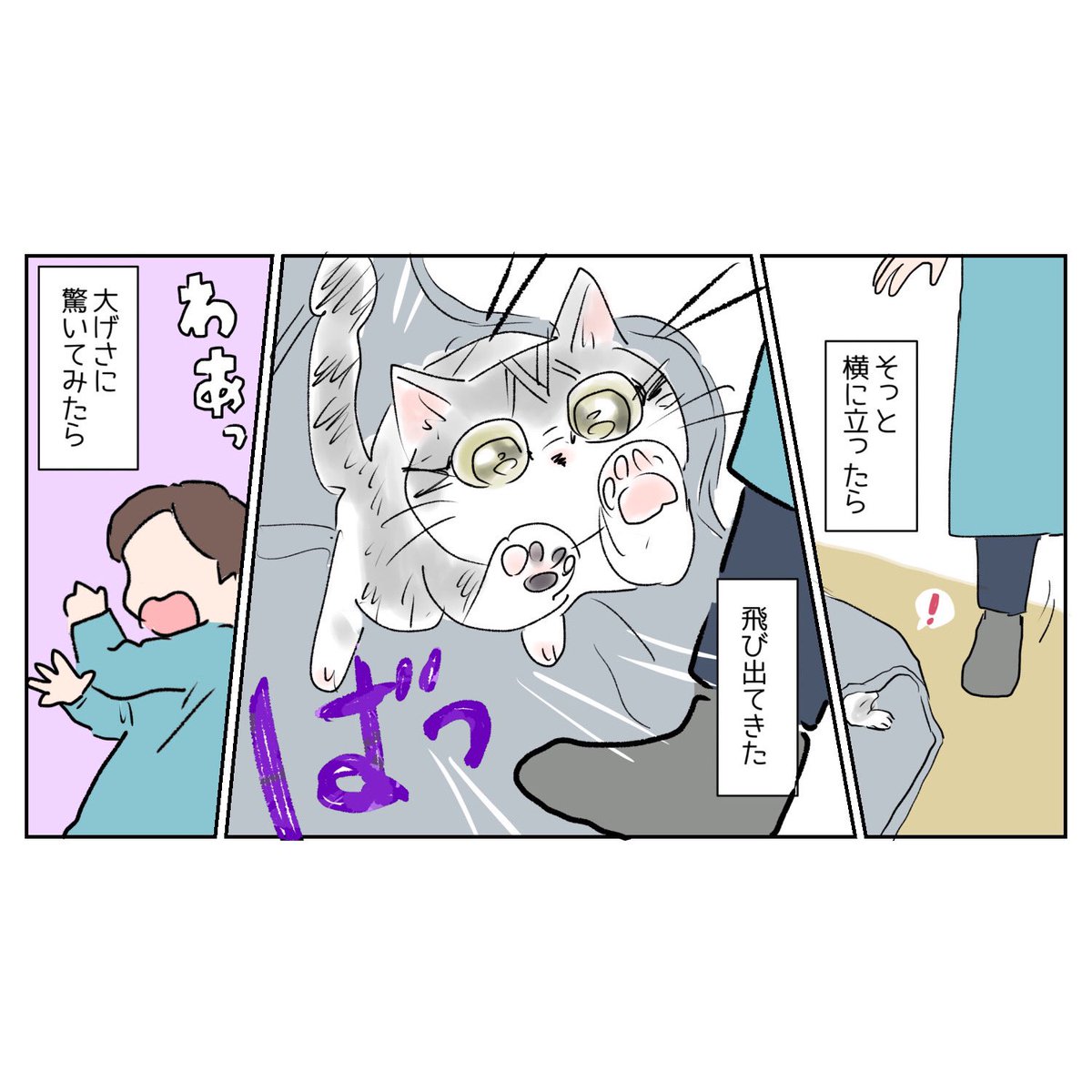 日常🐈 