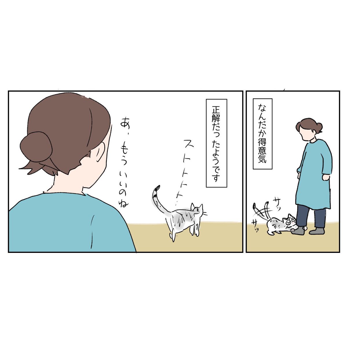 日常🐈 