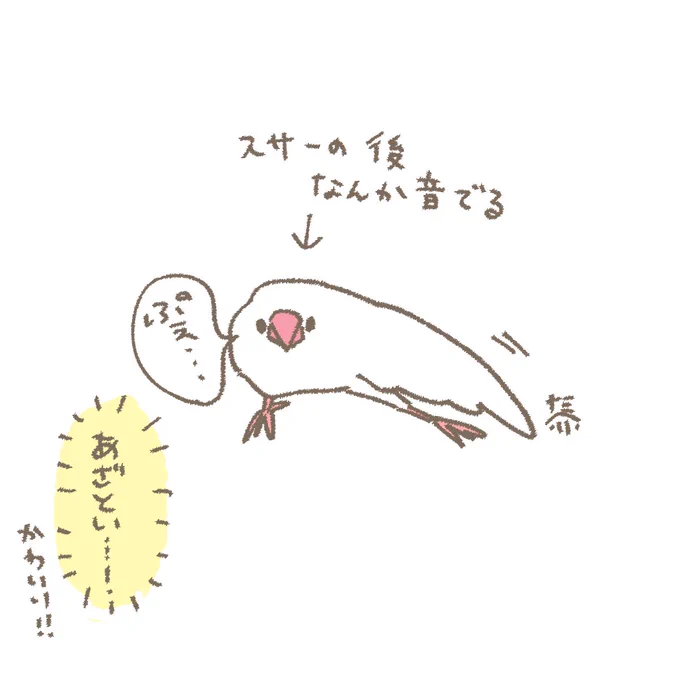 我が家の文鳥メモ 