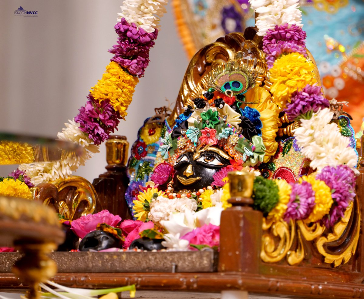 ISKCONPune's tweet photo. 🙏🏽Today's Darshan 📿 🗓11-04-2025🙏
🌷Sri Sri Jagannath Baldev Subhadra🌷
🚩@ISKCONNVCCPune🚩
.
.
#ISKCON #ISKCONNVCC #ISKCONNVCCPune #ISKCONPune
#11thapril #11thapril2025 #Friday #Vrindavan
#Harinaamsankirtan #Radheshyamdas #Radheradhe
#Sankirtan #Kirtan #Mayapur #Prabhupada https://t.co/NxPheNvl30