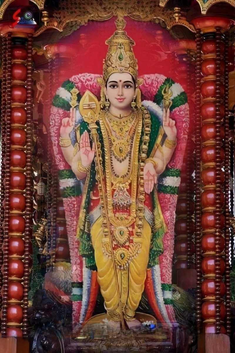 அனைவருக்கும் இனிய பங்குனி உத்திர திருநாள் நல்வாழ்துக்கள் 🙏🙏