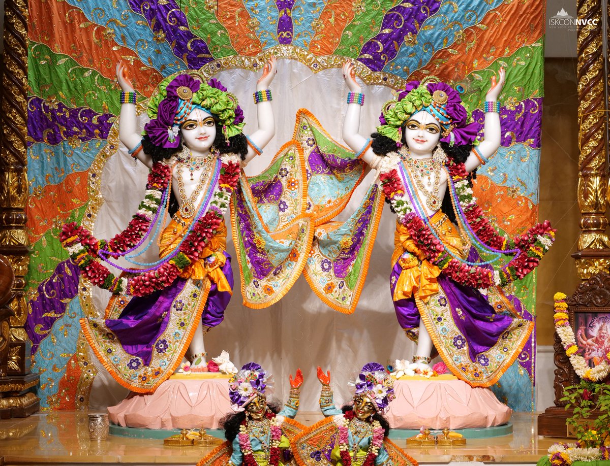 ISKCONPune's tweet photo. 🙏🏽Today's Darshan 📿 🗓11-04-2025🙏
🌷Sri Sri Gaur Nitai🌷
🚩@ISKCONNVCCPune🚩
.
.
#ISKCON #ISKCONNVCC #ISKCONNVCCPune #ISKCONPune
#11thapril #11thapril2025 #Friday #Vrindavan
#Harinaamsankirtan #Radheshyamdas #Radheradhe
#Sankirtan #Kirtan #Mayapur #Prabhupada #iskconmandir
#GVE https://t.co/WGn42VA6ea