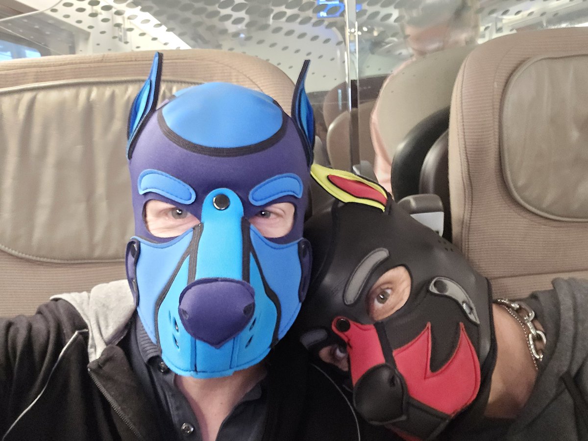 WoofThepup's tweet photo. Awoooo this alpha is off to cheer on his Omega pup @flash_mutt run the Paris marathon. I know they'll smash it.. but before then lots of adventuring sight seeing, tail wagging and a fair bit of mischief #alphapup #omegapup #hungalpha #cagedomega #naughtypups https://t.co/yLX3oCpvQz