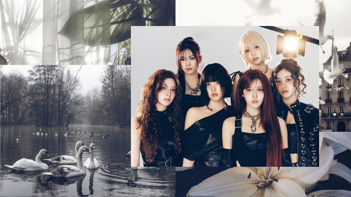 ⋆୨୧˚ tweet media