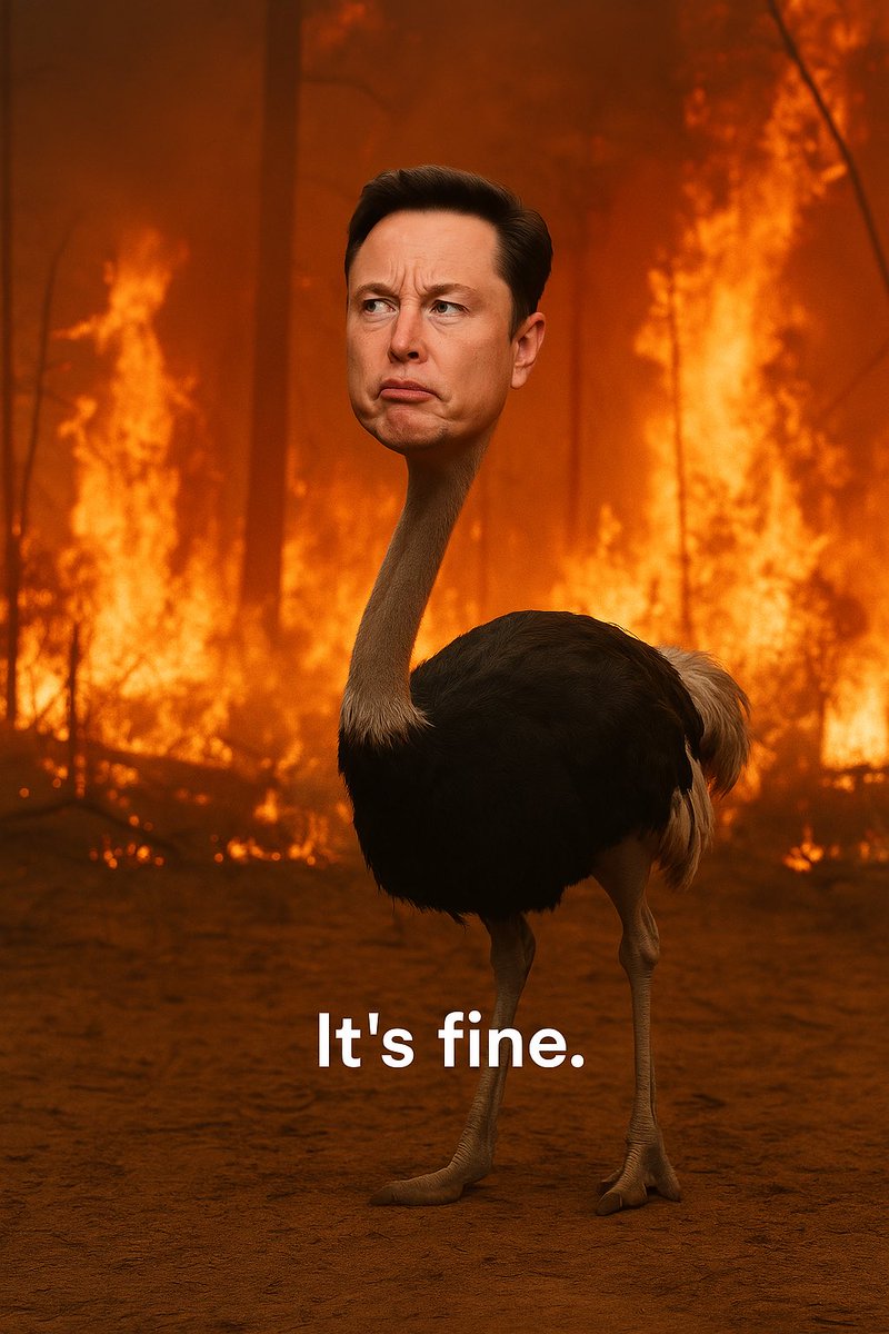Drunknwarlock's tweet photo. @elonmusk Ostrich Musk. #OstrichMusk https://t.co/BRT1U0GJuz
