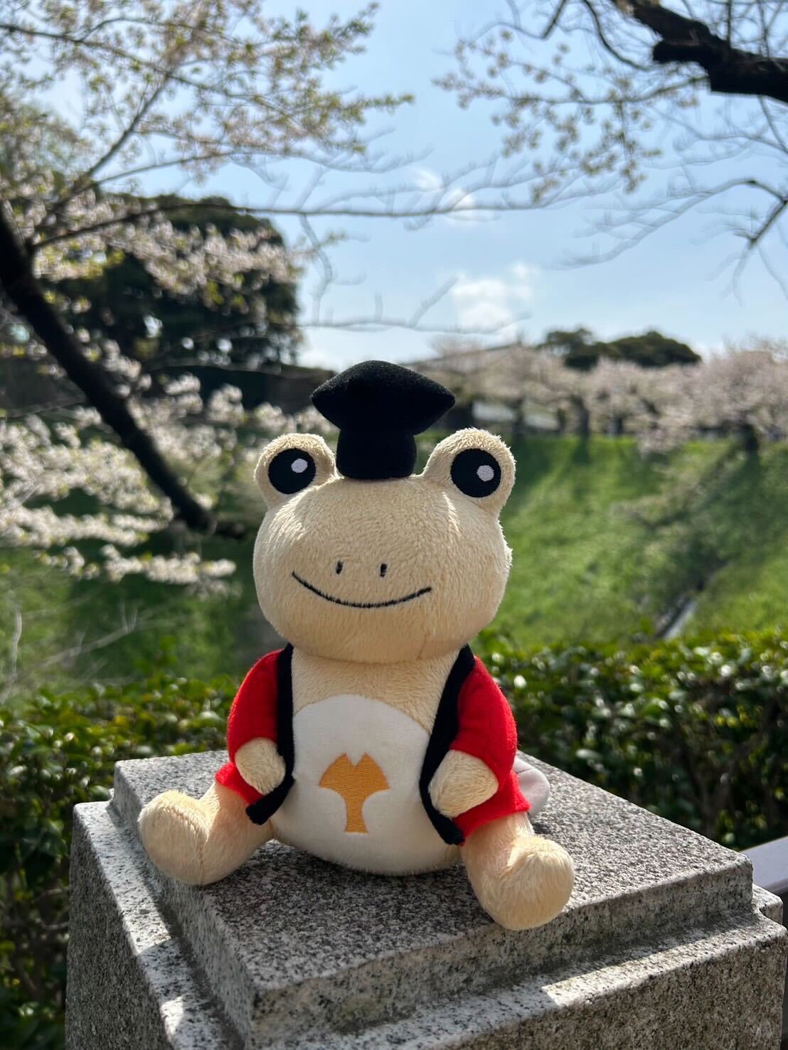ちょこっといいこと！レトロ　激レア かっぱマスコット Amazon.co.jp: レトロ カバヤ だっこちゃんチョコ マスコット 13