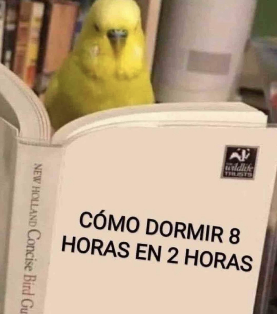Me interesa.
