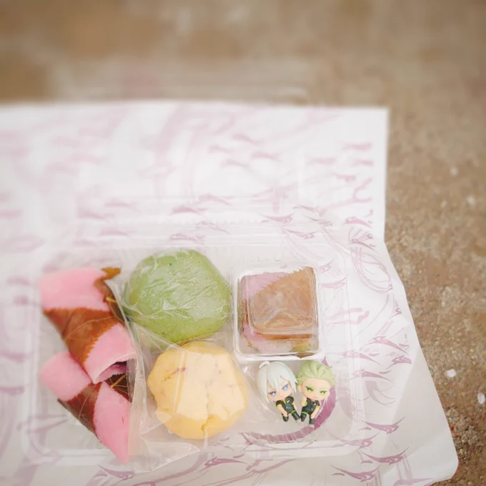 昼休憩にお花見 散りかけだったけどシセバニアは元気なので春を見つけて遊んでいた