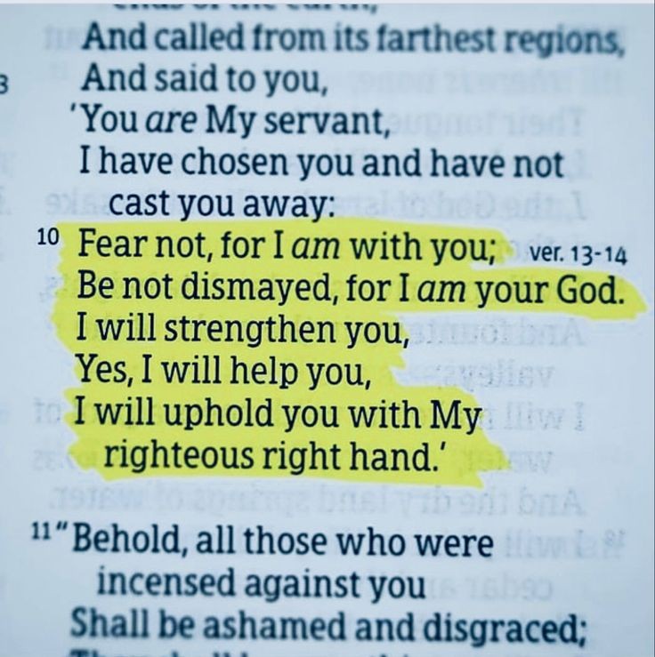 Holy Bible tweet media