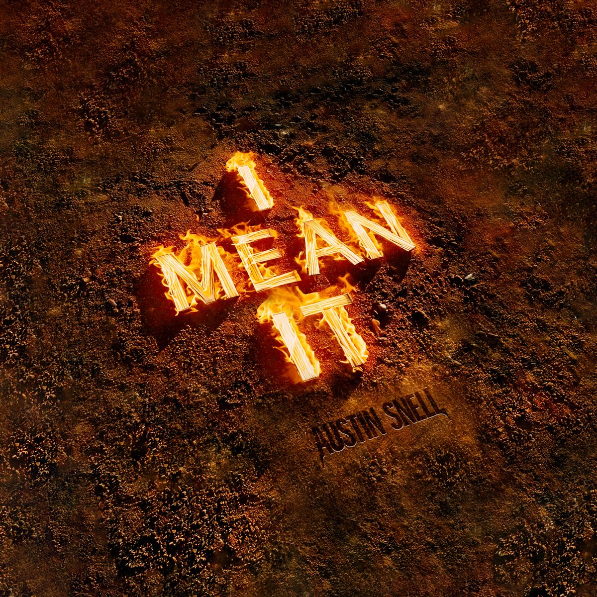 GO STREAM IT "I MEAN IT" 🤘 austinsnell.lnk.to/imeanit