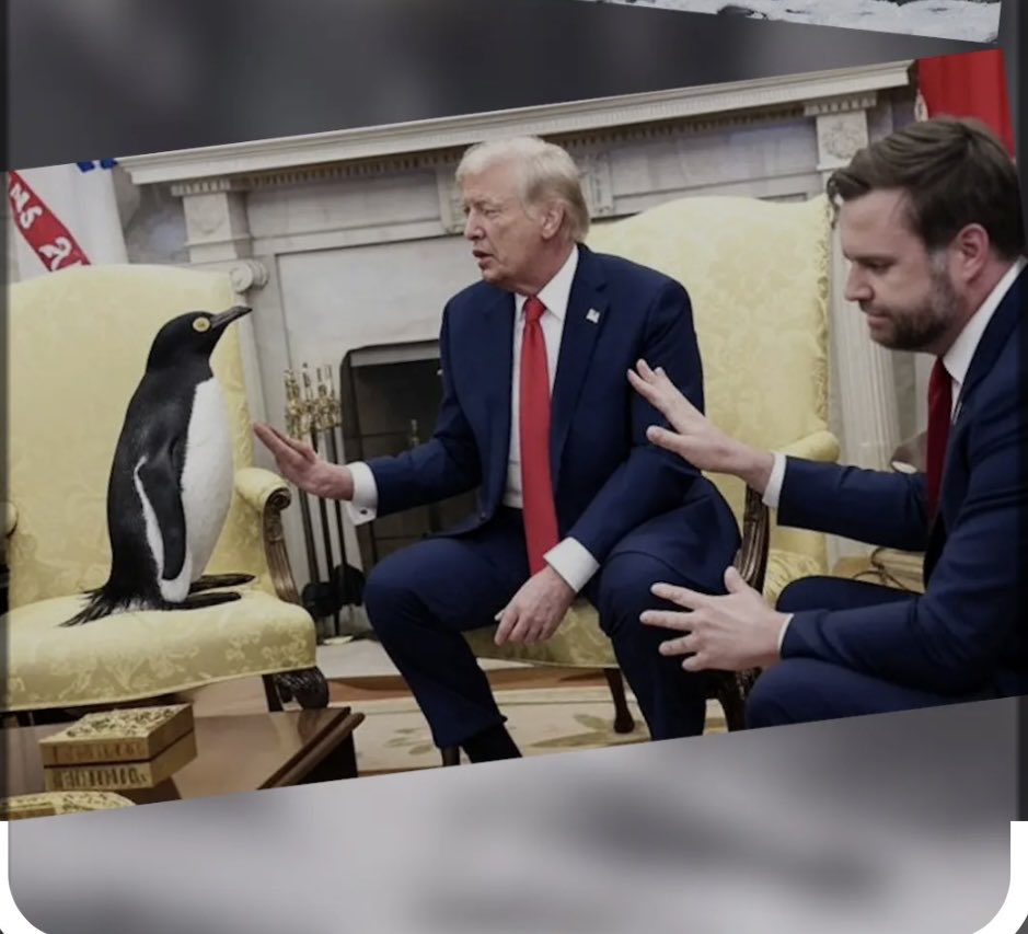 alan hartnett (@hartnett_alan) on Twitter photo 