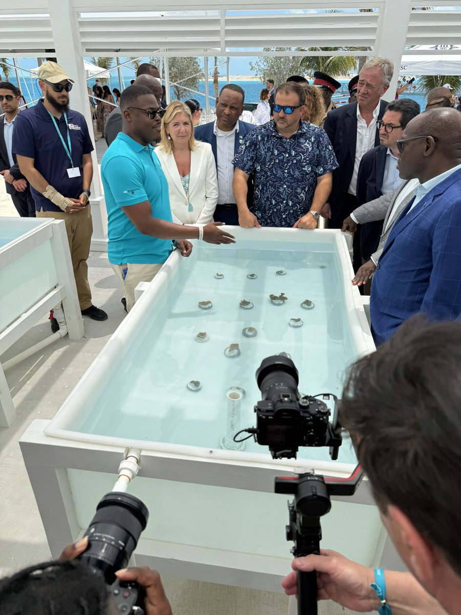 raisarivas's tweet photo. El MSC World América hoy en Ocean Cay, la isla privada de @MSCCruisesUSA en Bahamas. Allí también inauguraron el Centro de Conservación Marina para orientar y educar más sobre la restauración y conservación de los corales #MSCFoundation #cruises #MSCWorldAmerica #MSCCruises https://t.co/V3uTEoOZ2e