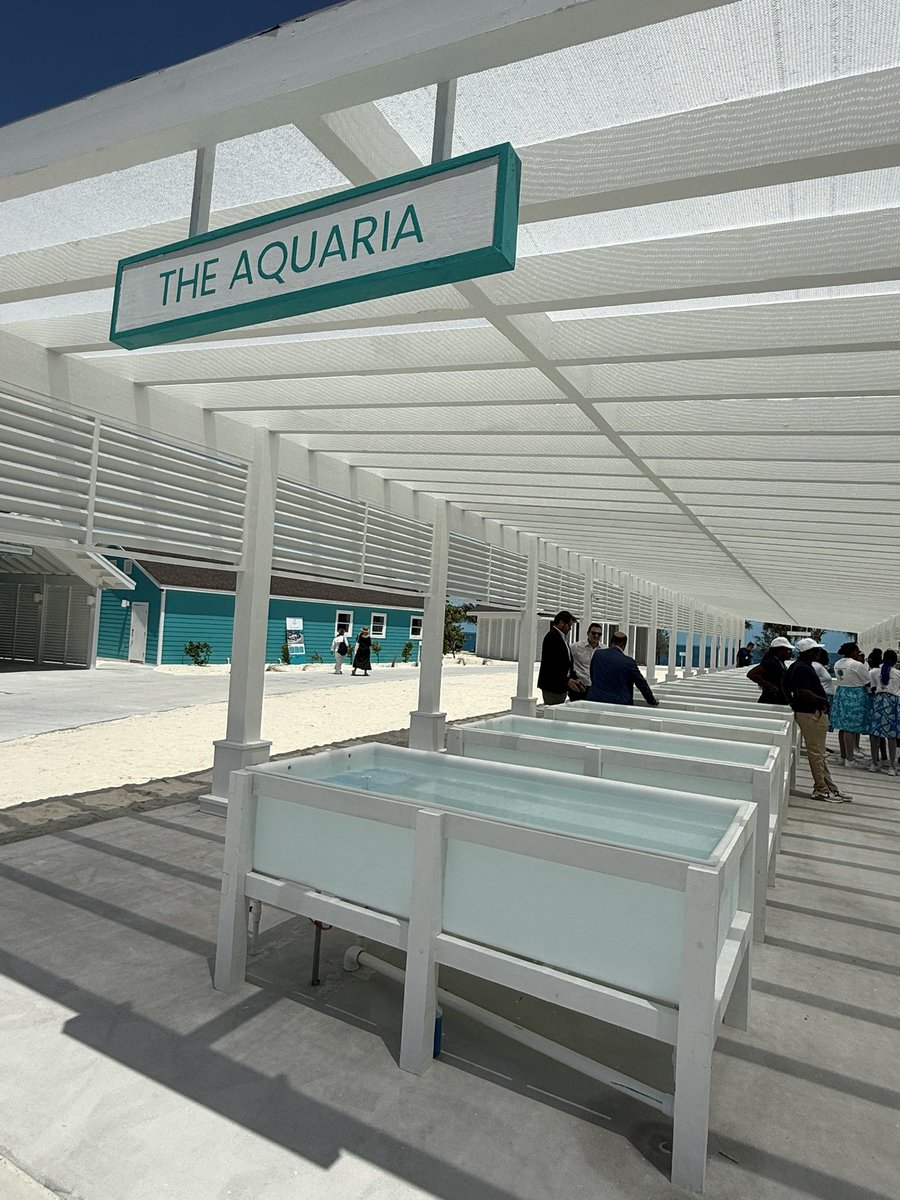 raisarivas's tweet photo. El MSC World América hoy en Ocean Cay, la isla privada de @MSCCruisesUSA en Bahamas. Allí también inauguraron el Centro de Conservación Marina para orientar y educar más sobre la restauración y conservación de los corales #MSCFoundation #cruises #MSCWorldAmerica #MSCCruises https://t.co/V3uTEoOZ2e