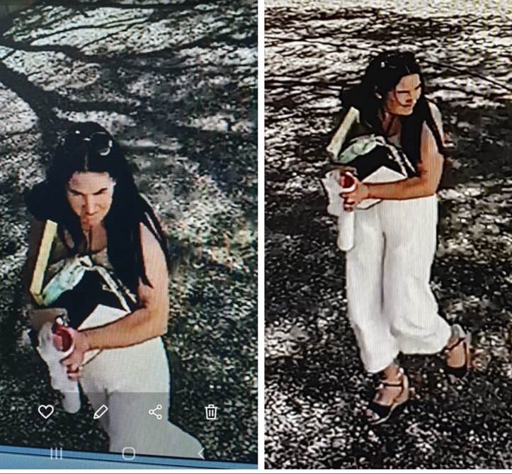 Gooseberry Hill - theft! Can you help?

📆 Monday, 7 April 2025 – 2:34pm

📍 She entered a parked vehicle and stole several items before leaving the area. 

🚔 If you recognise this person or have any info, please call 131 444

📁 Ref: IR 090425 1931 13055

#WAPolice👮‍♀️🕵️‍♂️