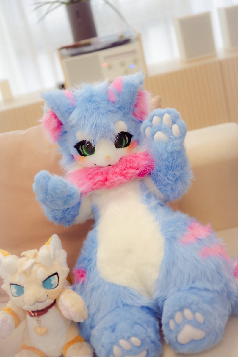쪼꼬미 마야 🩵🩷🤍

#Fursuit #FursuitFriday
