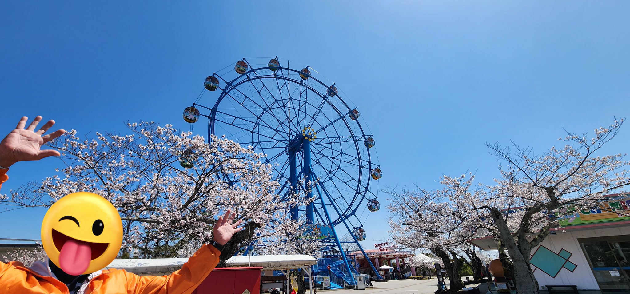 ときわ遊園地 ときわ遊園地｜観光スポット｜【公式】山口県観光/旅行サイト