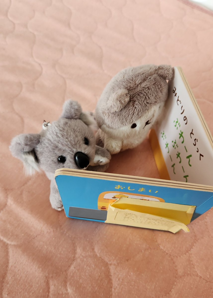 6ka0r15's tweet photo. 娘が保育園行く前にお気に入りのコアラのぬいぐるみに「ご本読んで待っててね👋」って言って出て行ったから、言いつけどおり絵本読んで待ってるコアラとにゃんにゃん https://t.co/fkUvVRUafQ