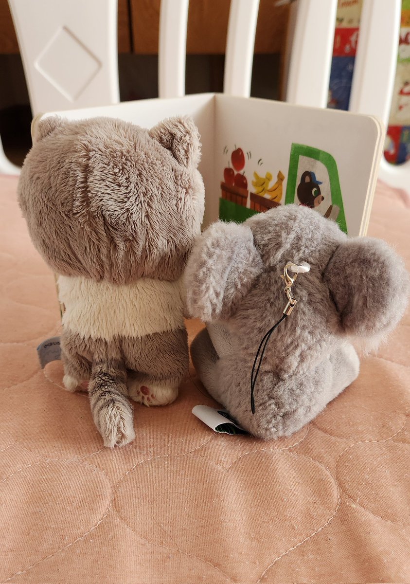 6ka0r15's tweet photo. 娘が保育園行く前にお気に入りのコアラのぬいぐるみに「ご本読んで待っててね👋」って言って出て行ったから、言いつけどおり絵本読んで待ってるコアラとにゃんにゃん https://t.co/fkUvVRUafQ