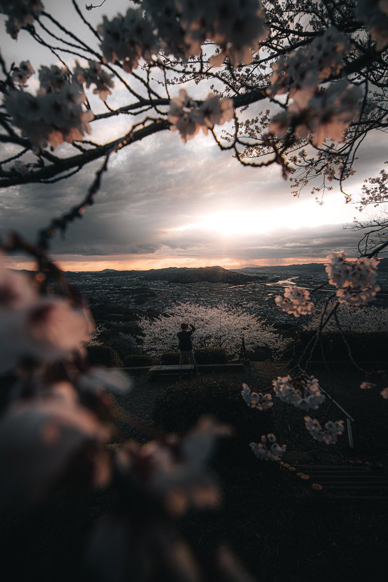 kyons_photo's tweet image. 最初が峰
#tokyocameraclub