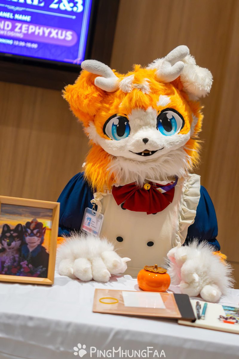 TamaNeko🐱🔜 ??? tweet media