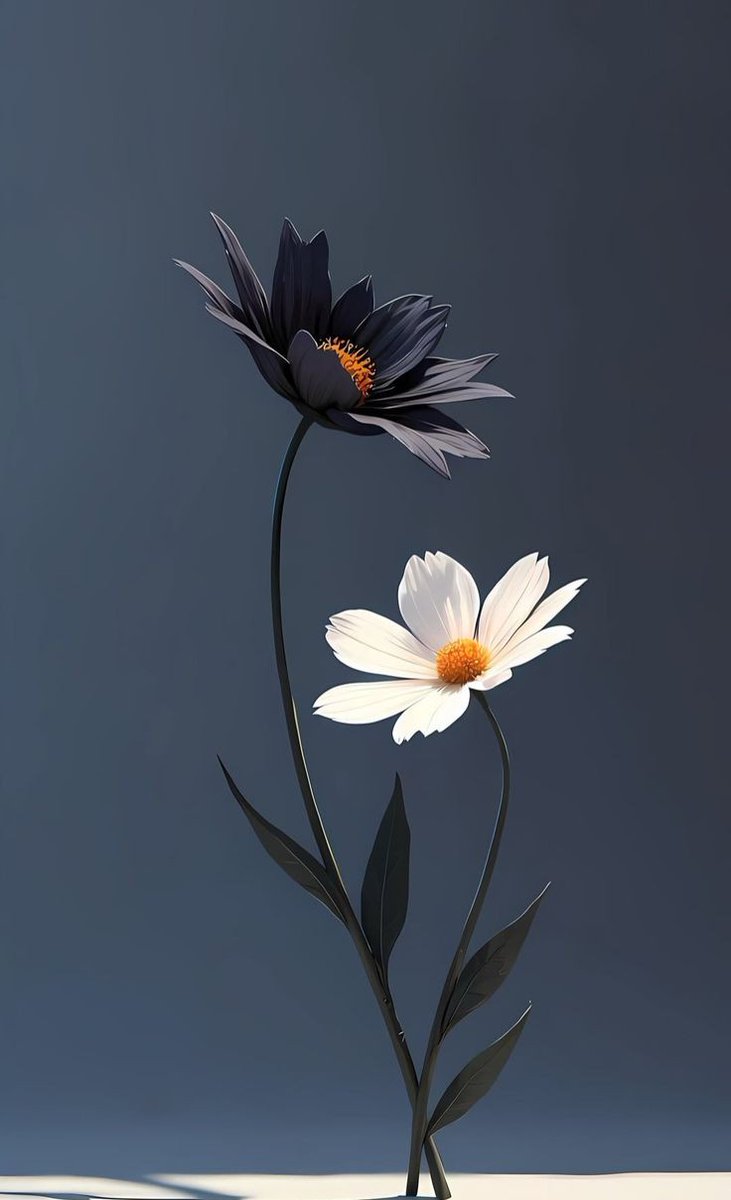 Sweet nature (@nature6260) on Twitter photo 