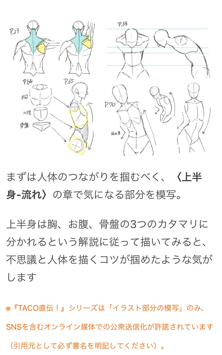 【オモコロブロス】
手が描けない? 腰の構造が謎?

『TACO直伝!』シリーズを読んで、イラスト初心者が模写してみた結果、ちょっと自信がつきました

仕事の現実逃避を続けていたらイラストに目覚めました
https://t.co/slwB2GzTrv #ブロス記事広告 