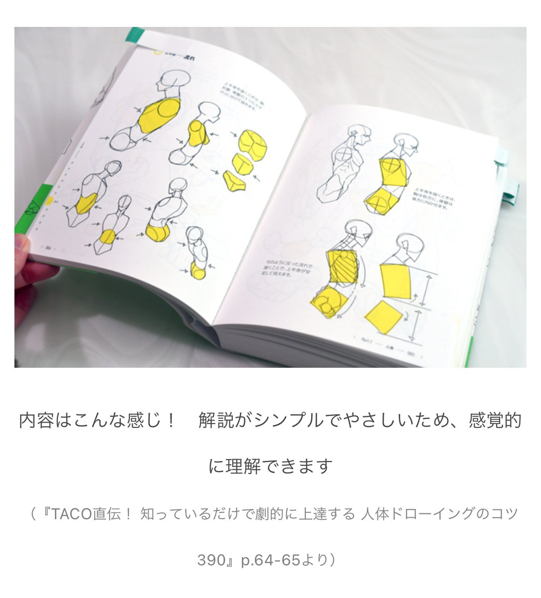 【オモコロブロス】
手が描けない? 腰の構造が謎?

『TACO直伝!』シリーズを読んで、イラスト初心者が模写してみた結果、ちょっと自信がつきました

仕事の現実逃避を続けていたらイラストに目覚めました
https://t.co/slwB2GzTrv #ブロス記事広告 