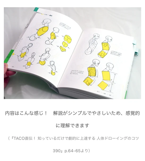 【オモコロブロス】
手が描けない? 腰の構造が謎?

『TACO直伝!』シリーズを読んで、イラスト初心者が模写してみた結果、ちょっと自信がつきました

仕事の現実逃避を続けていたらイラストに目覚めました
https://t.co/slwB2GzTrv #ブロス記事広告 
