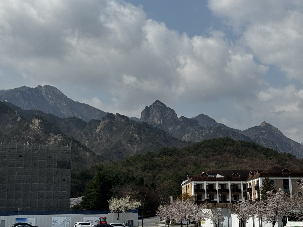최상도 tweet media