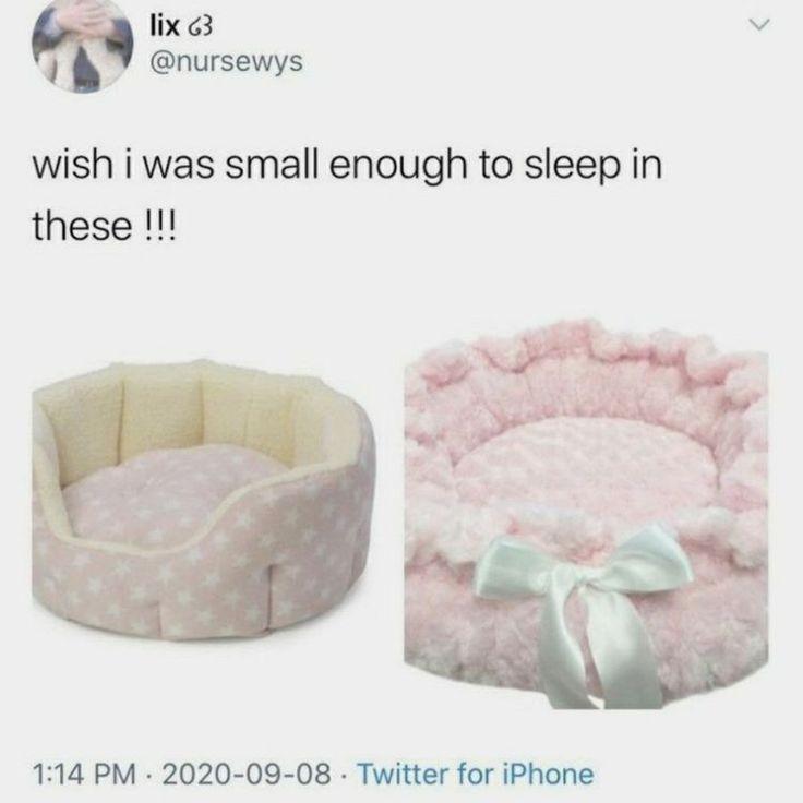 i bark for free tweet media