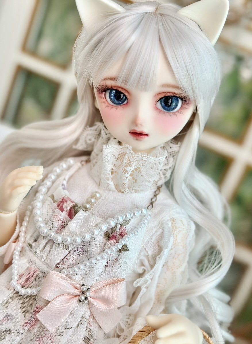 새 안구를 얻은 우리집 흰고양이🐈