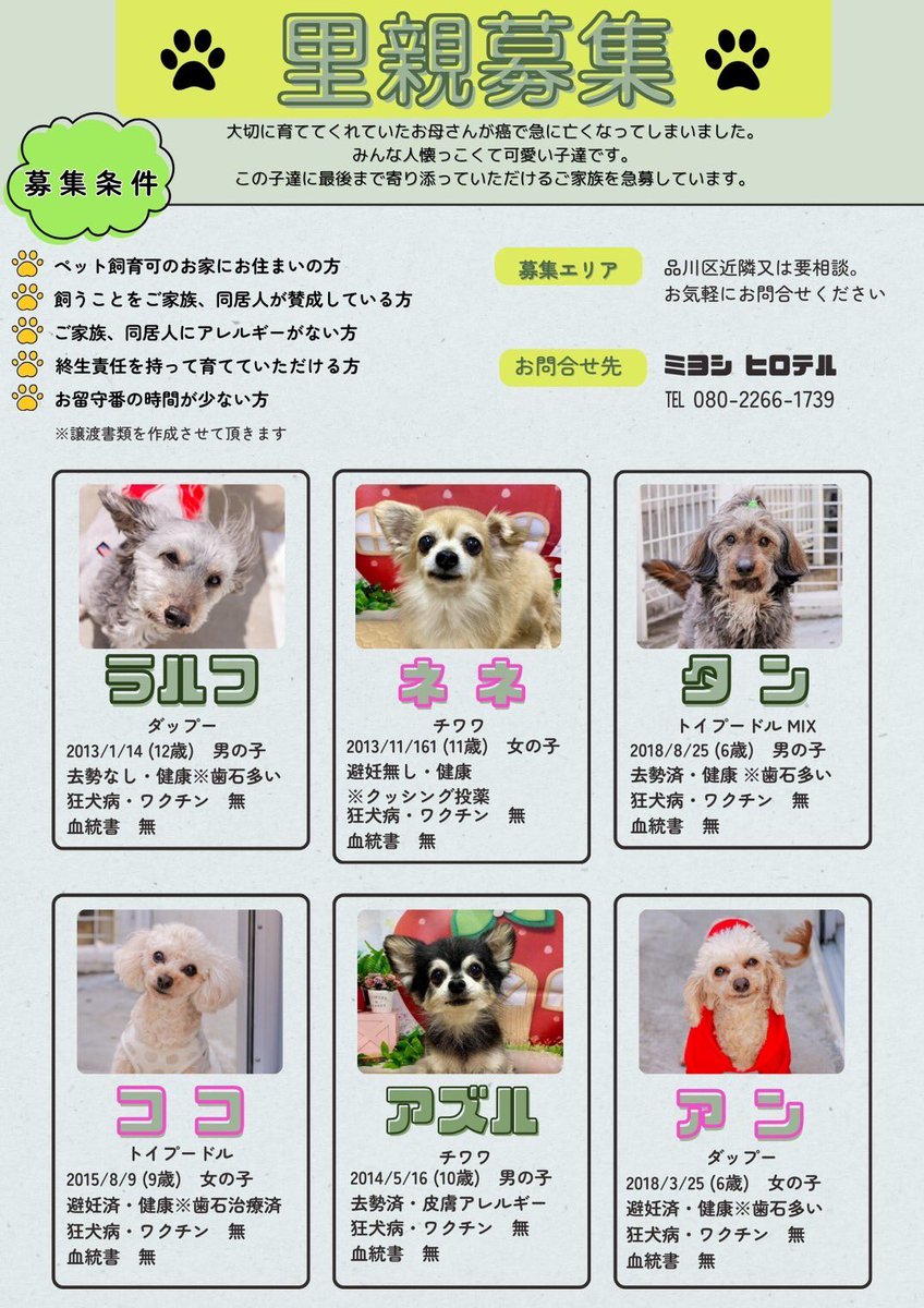3jl9Tb's tweet photo. 拡散希望 https://t.co/PCP220szqH