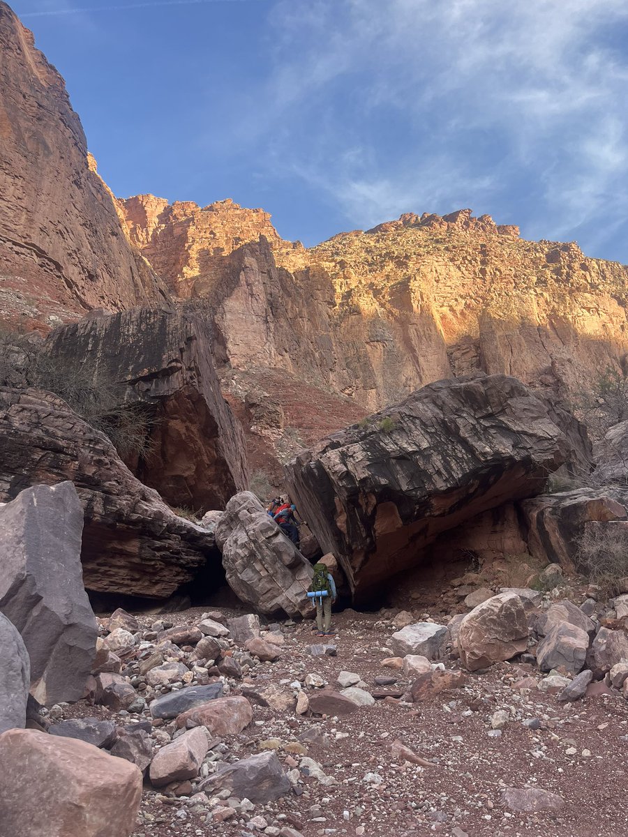 fietstwiets's tweet image. 