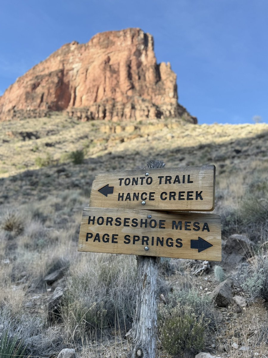 fietstwiets's tweet image. 