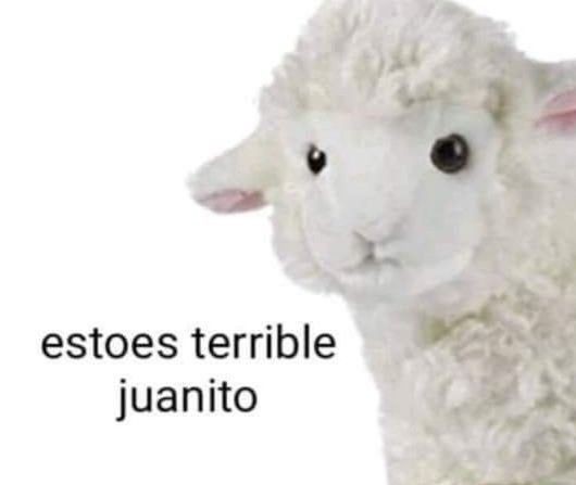 httpserickbrian's tweet photo. ROMPÍA LA PANTALLA JAJAJAJAJJAJAJAJAJ DIOS MIOOOO @dnra10 QUÉDATE QUIETOOOOO
#Piso17 https://t.co/DfHjnXNBJN