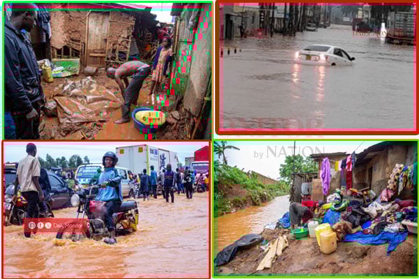 Bodanomics tweet media