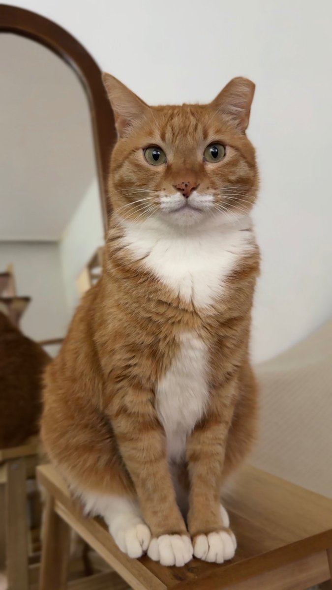 어떻게 봐도봐도 질리지 않나요?