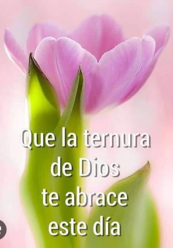 FreeThairo17754's tweet photo. Acabo de borrar todo lo que hice para un parcial en la computadora utilizando Word.... Soy un re pelotudo mal lpm https://t.co/mIZJpWvj6k