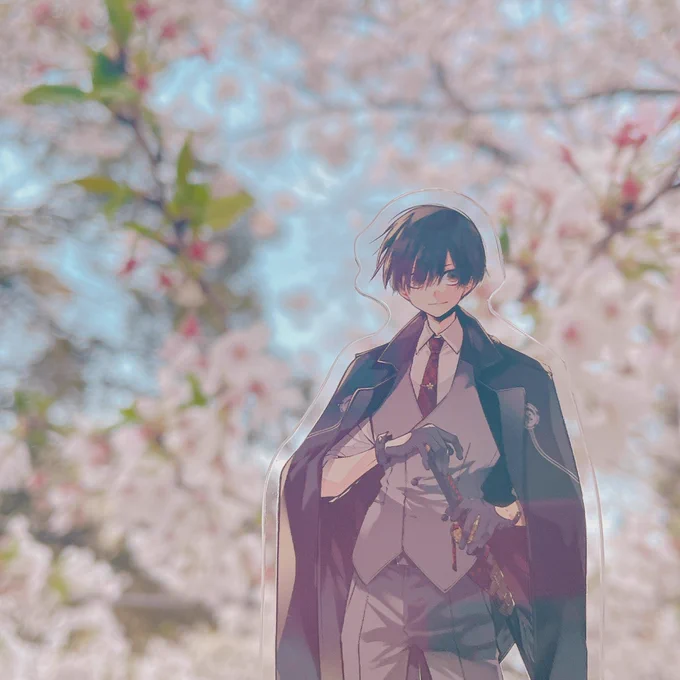 近所の桜!