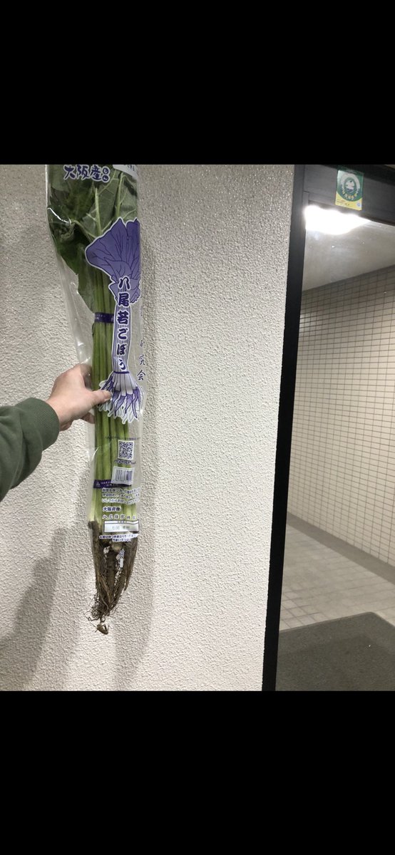 アンジーは河合ぃものが好き。 tweet media