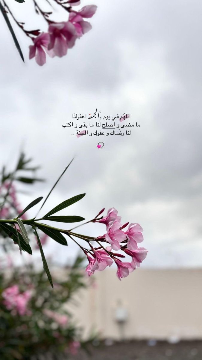 am7_7ma's tweet photo. #يوم_الجمعه https://t.co/K7KnMQOyaF
