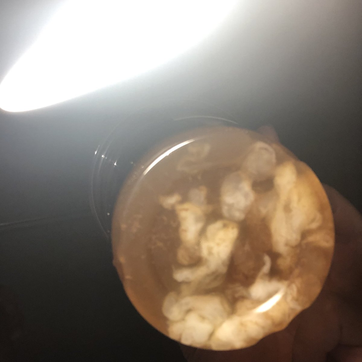 这样看平平无奇 换个角度呢，剩最后一口 加个料请你试试？