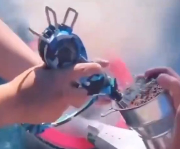ducks tweet media