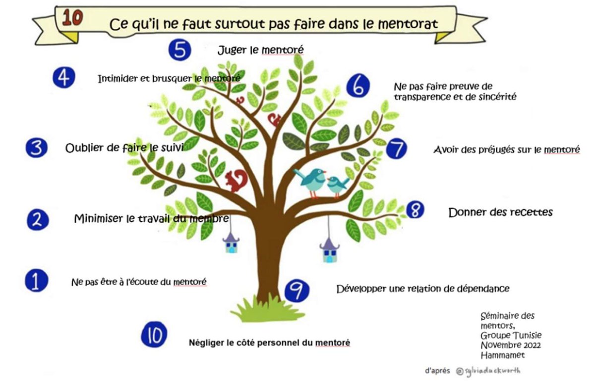 diversifier's tweet photo. Le côté obscur du #mentorat (l'autre arbre), https://t.co/otdSwkFKZj #eduinov #cardie  #eafc #FIPF https://t.co/s17MsBwvev