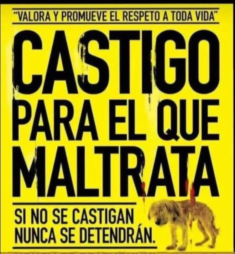 Sabueson (@sabueson) on Twitter photo 