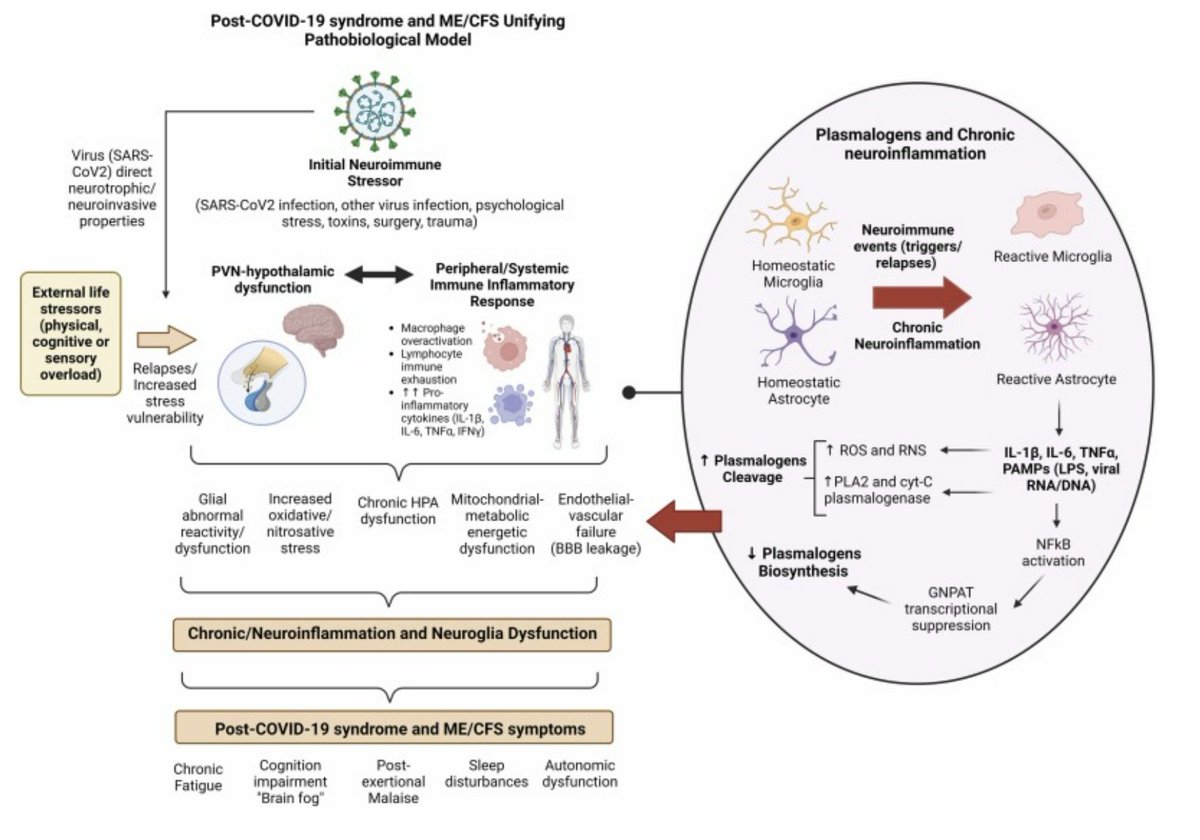 🕸️Dr.T, PhD tweet media