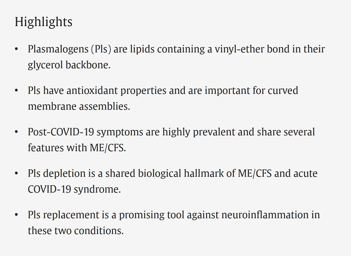 🕸️Dr.T, PhD tweet media