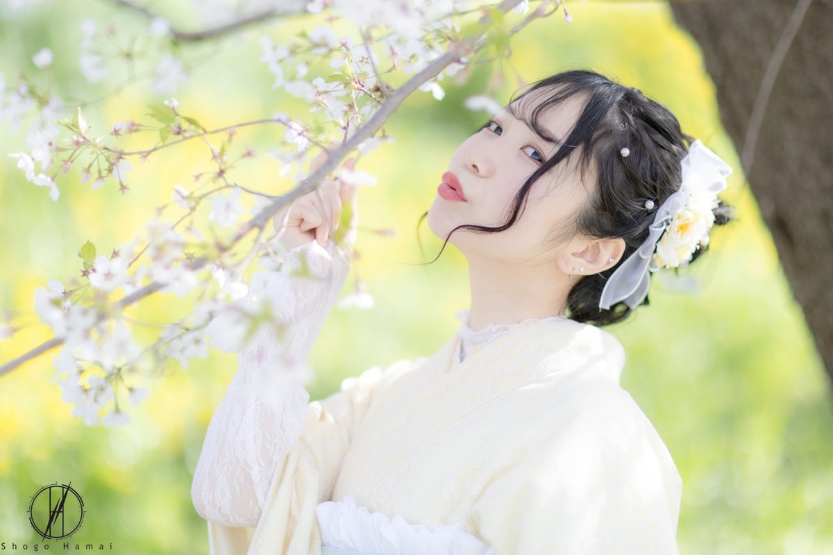 ShogoHamai's tweet photo. #桜ポートレート https://t.co/pCGSVjyNhO